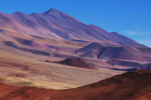 Northern Argentina Desert