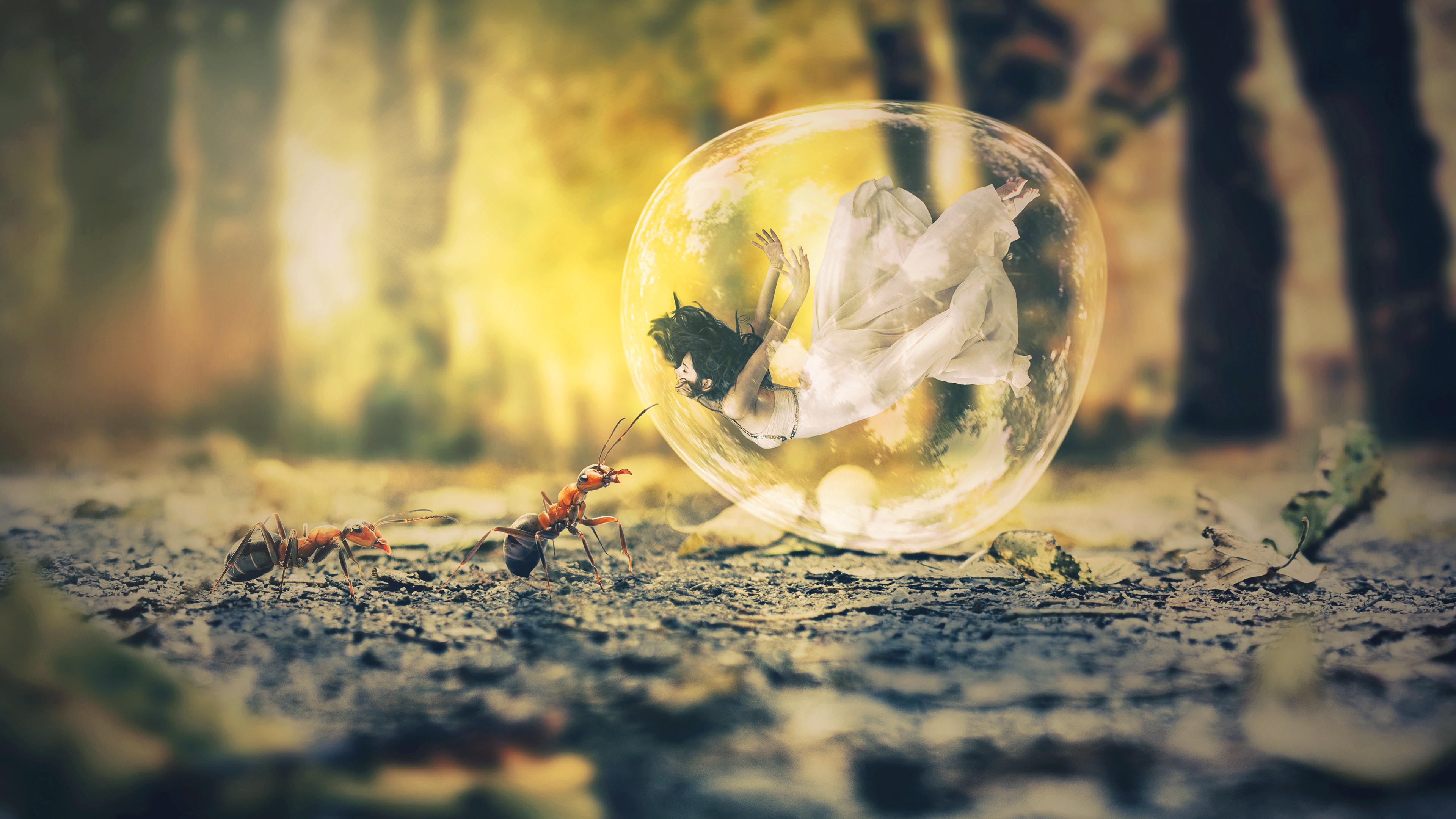 Bubble Ant Dream 4K Wallpapers