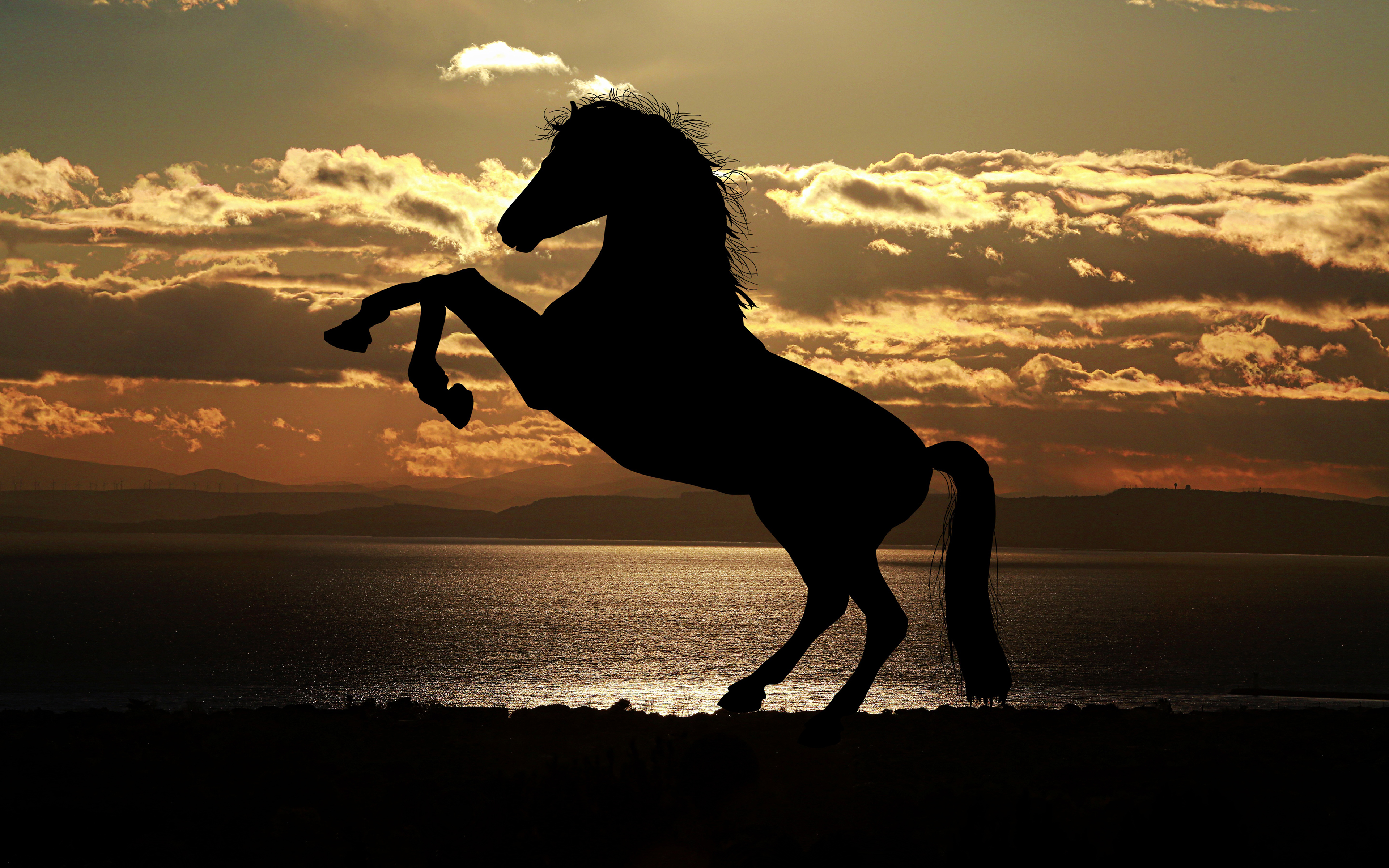 Horse Silhouette at Sunset 4K Wallpapers