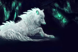 White Arctic Wolf 5K Wallpapers