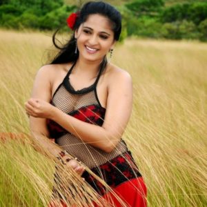 South Indian Actress Anushka Shetty Hd Wallpapers