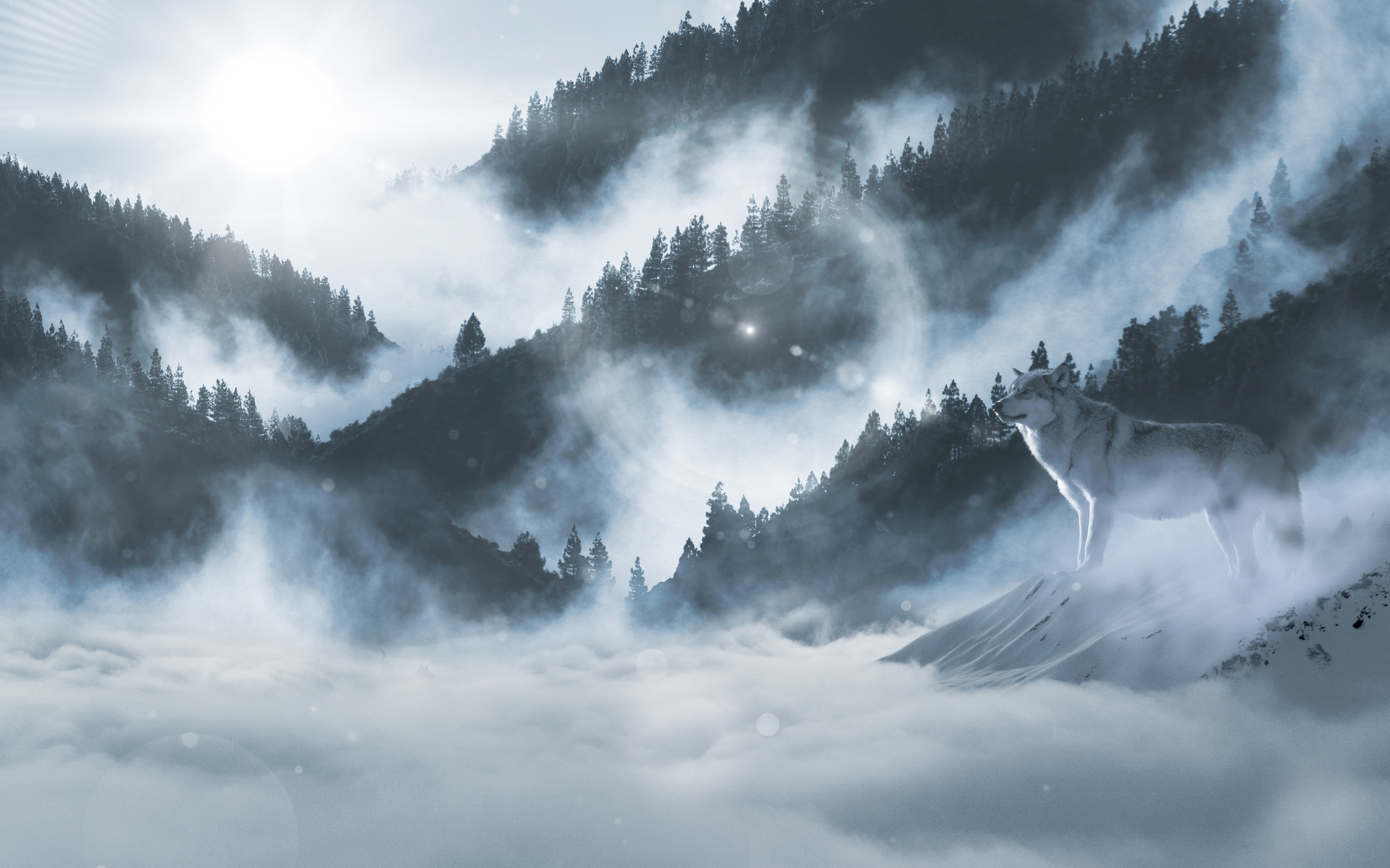 Arctic wolf Winter Mountains 5K Wallpapers