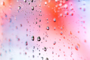 Rain Droplets Macro 4K Wallpapers