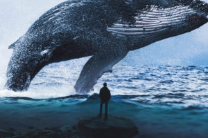 Blue Whale Dream 4K Wallpapers