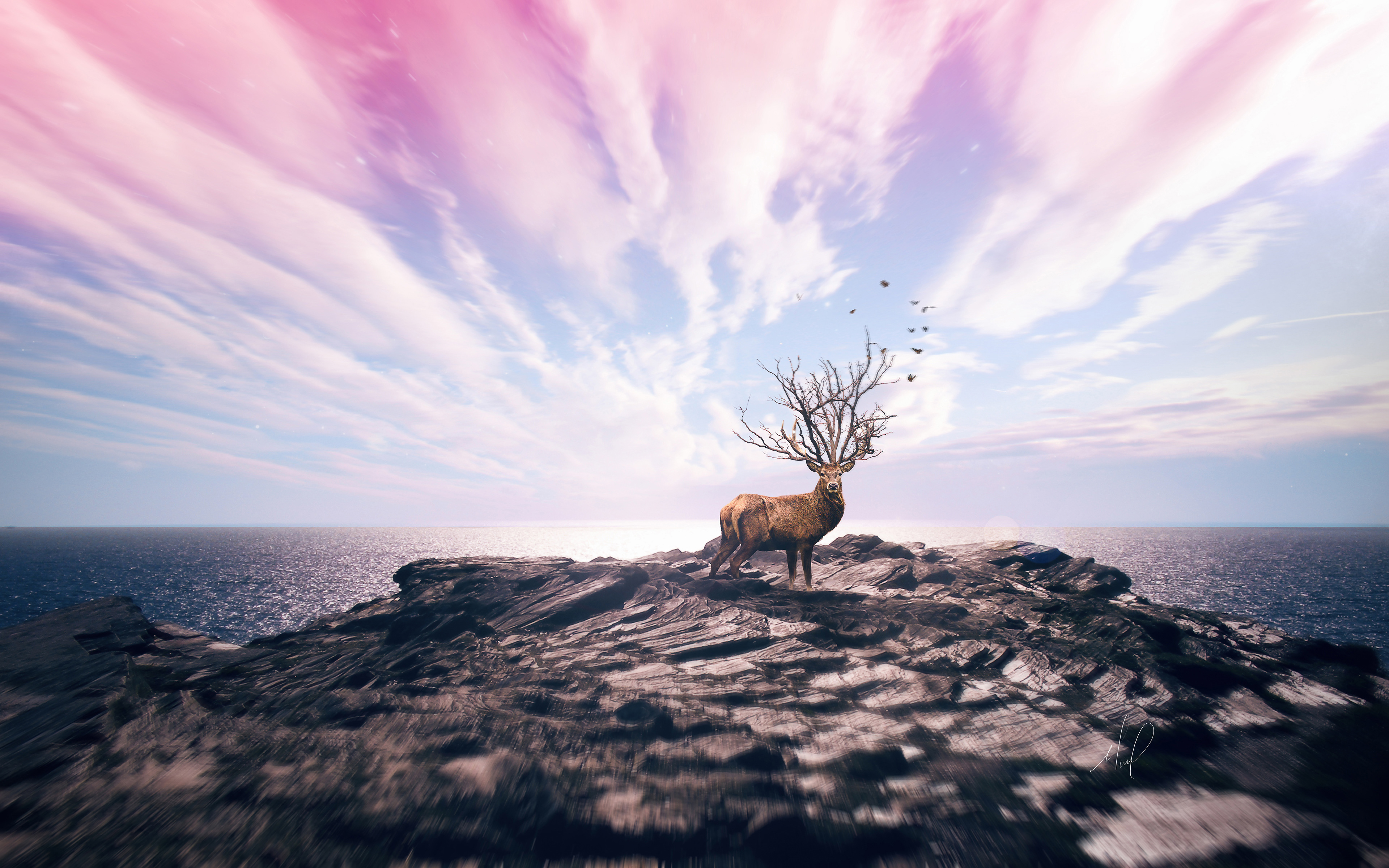 Deer on Cliff 4K
