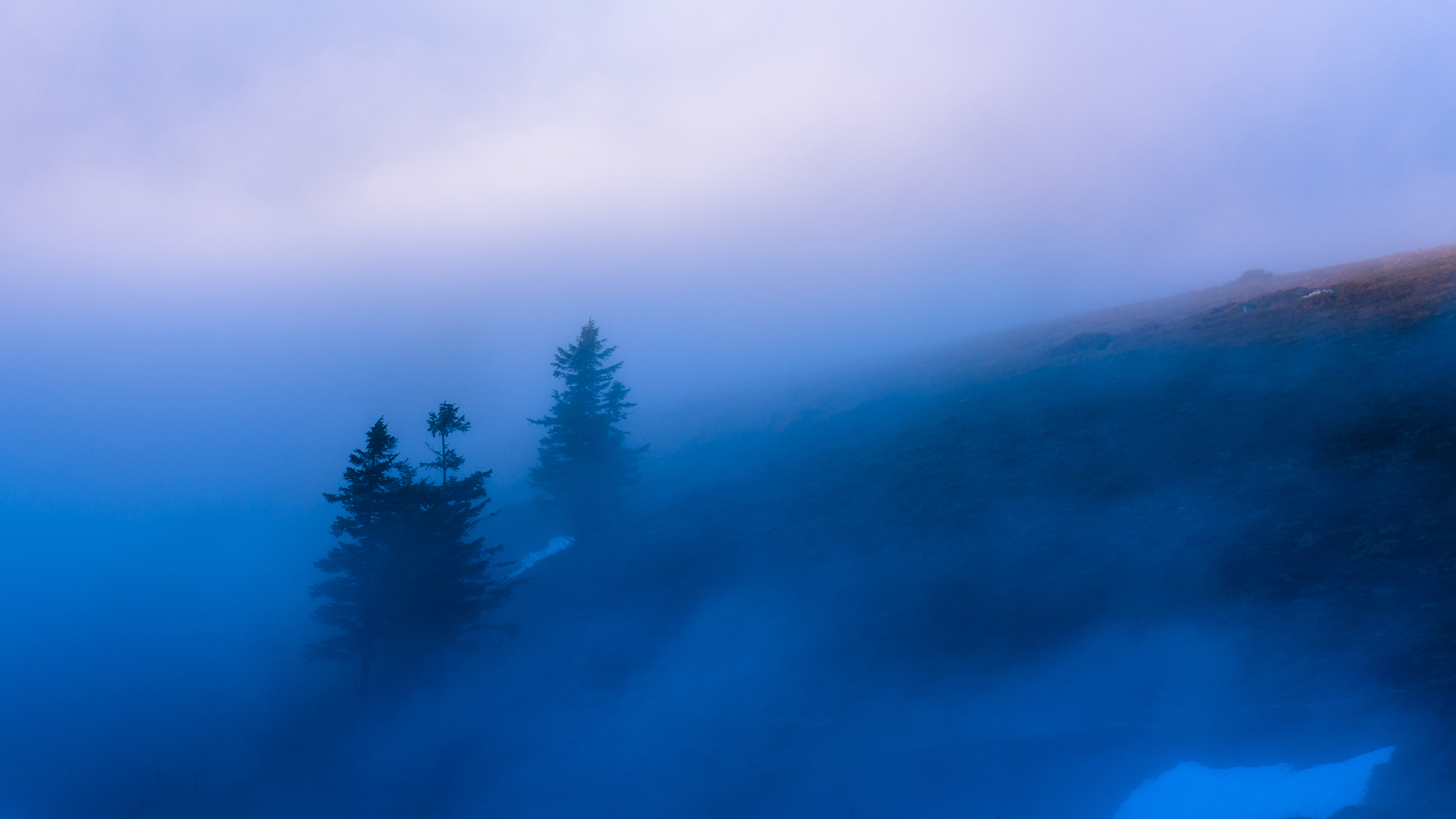 Foggy Morning Wallpapers