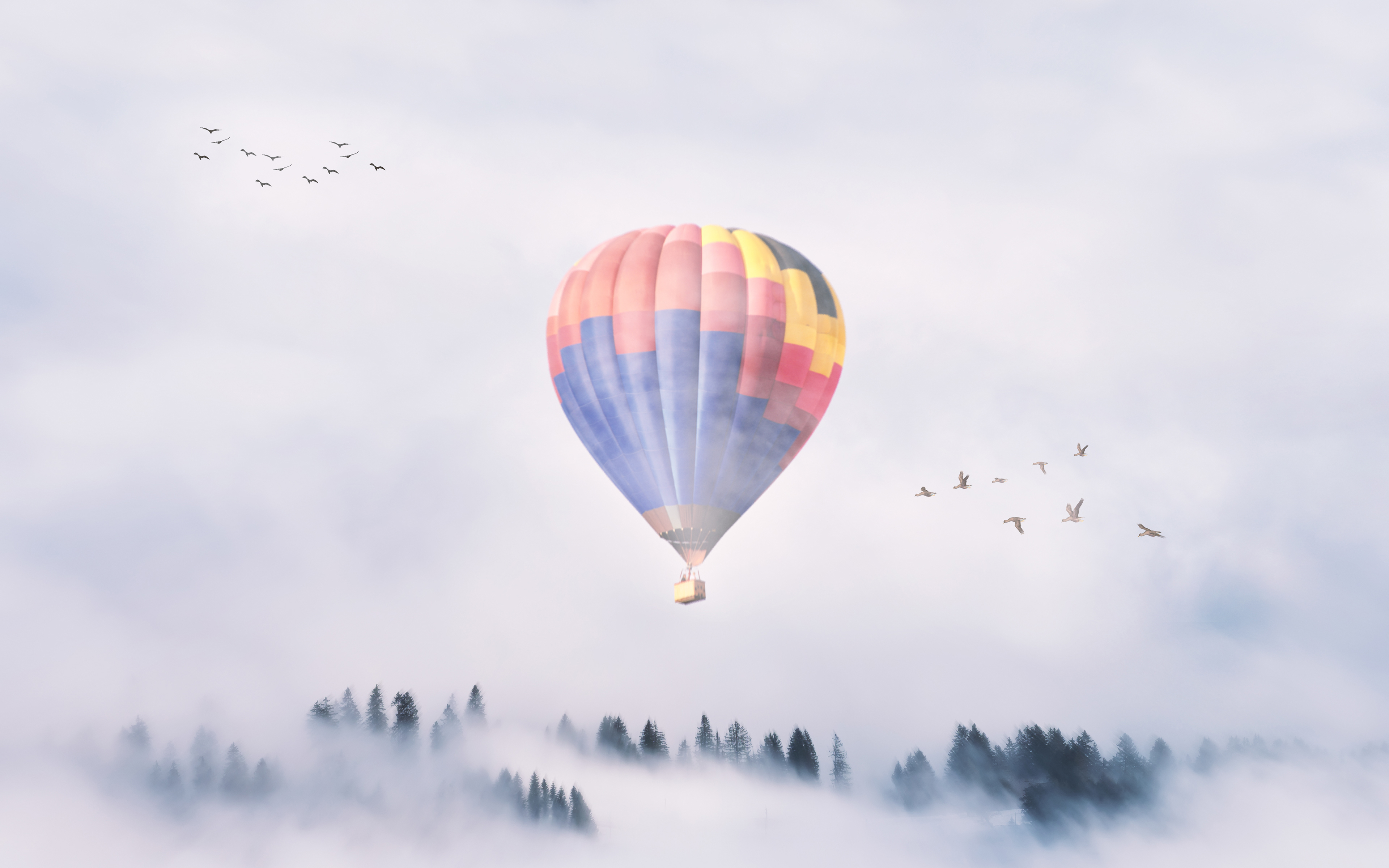 Hot air Balloon Mist 4K