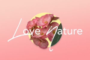 Love Nature Wallpapers