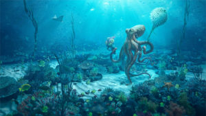 Octopus Date