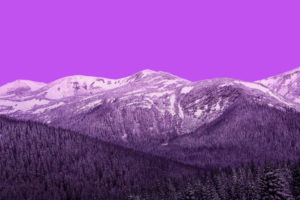 Purple Mountains Vivo Stock