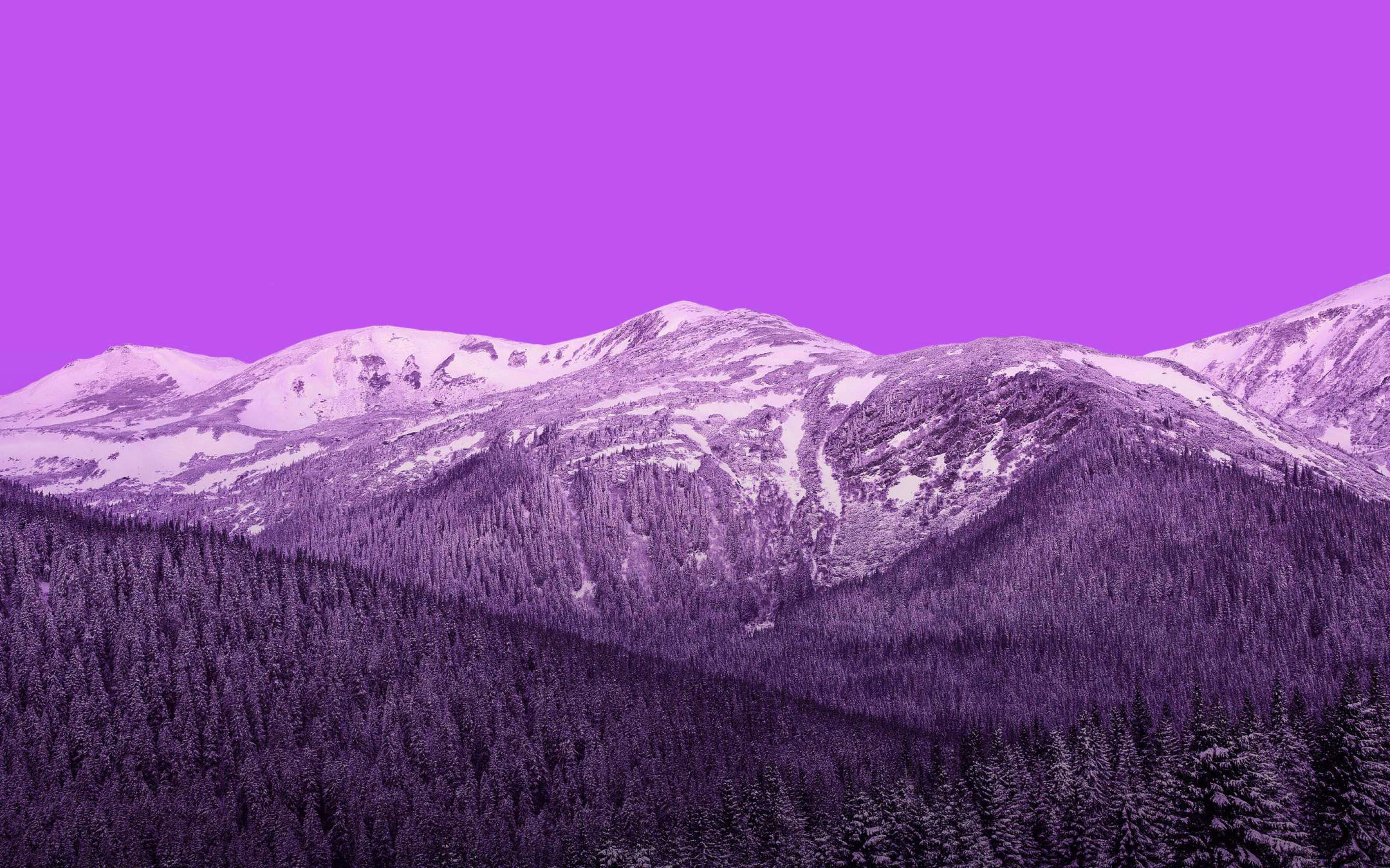 Purple Mountains Vivo Stock
