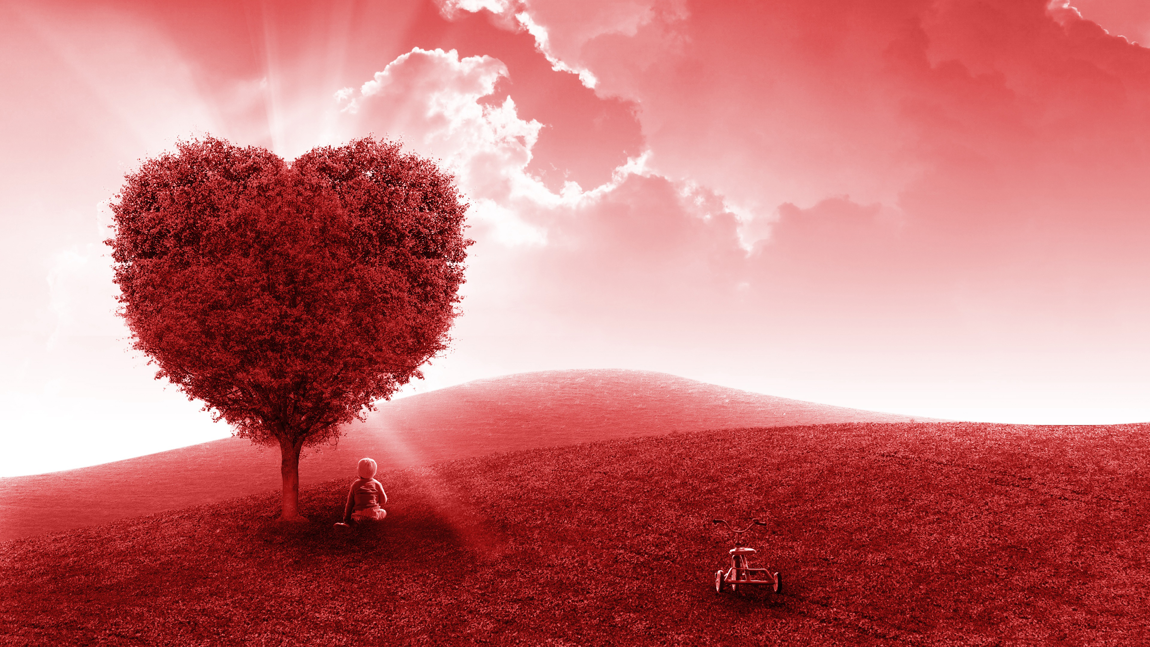 Red Love Heart Tree 4K Wallpapers