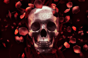 Skull & Rose Petals