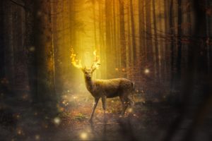 Deer Fantasy 4K Wallpapers