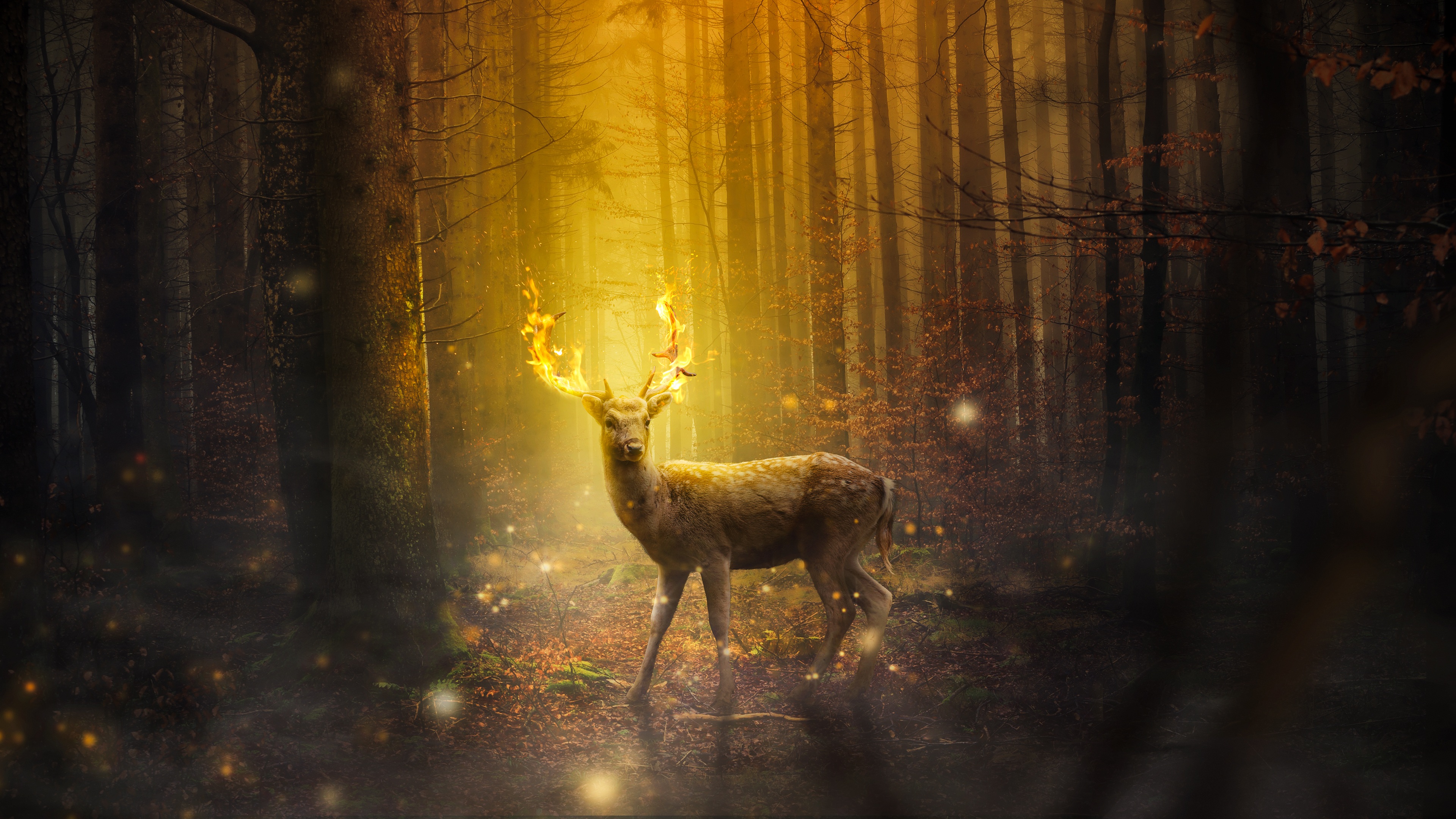 Deer Fantasy 4K Wallpapers