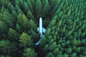 Plane Surrounded in Forest 4K