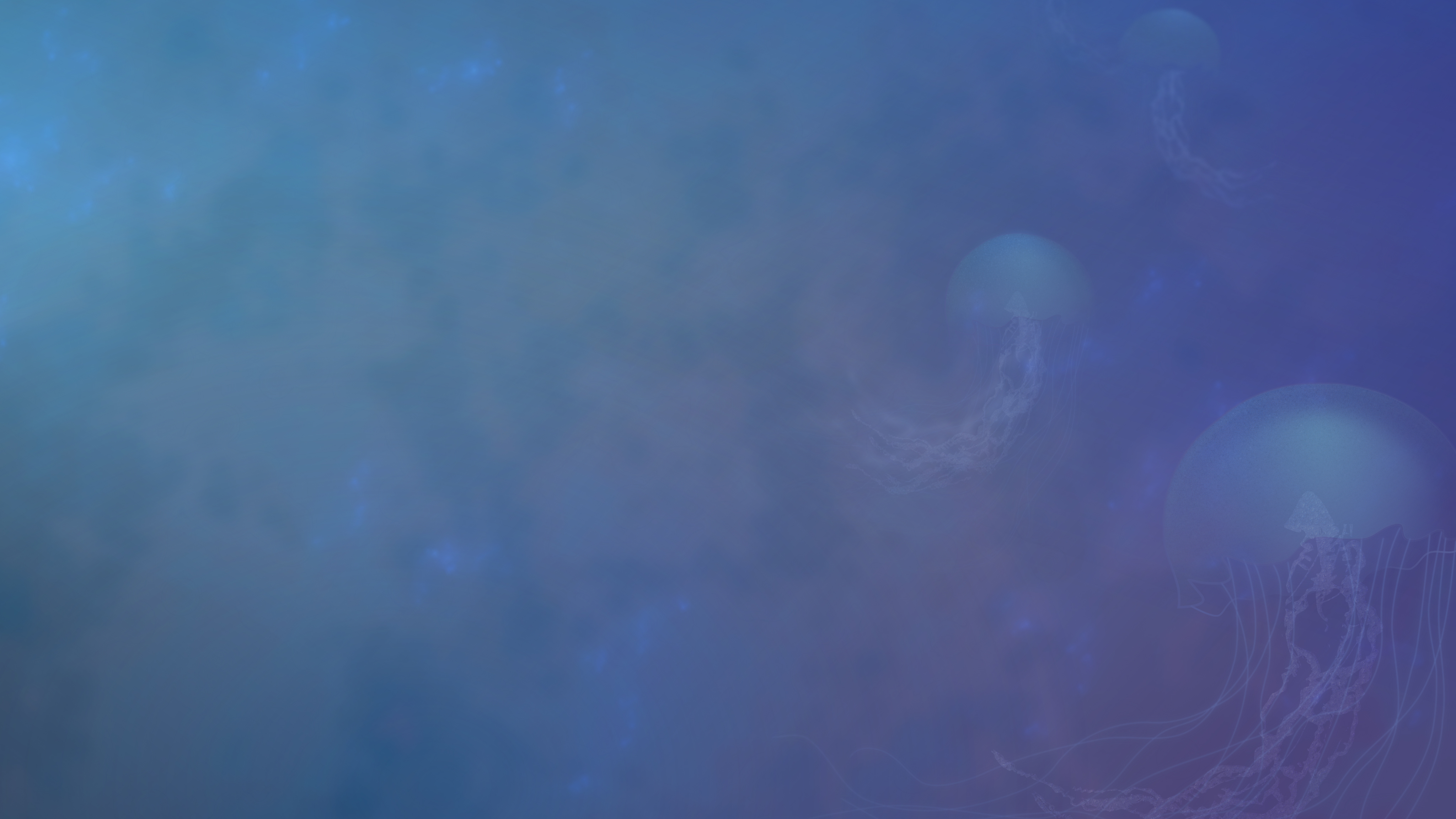 Jellyfishes Under the Sea 4K Wallpapers