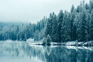 Kootenay River Snowfall 4K