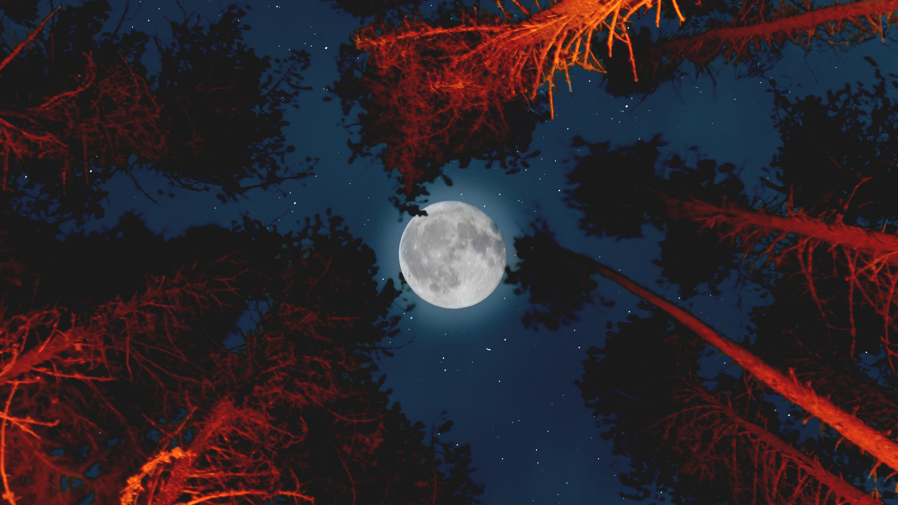 Moon with Campfire in Forest Wallpapers