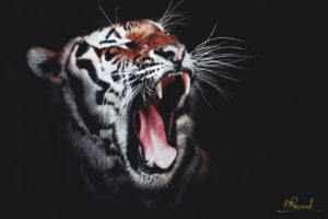 Roaring Tiger 4K Wallpapers