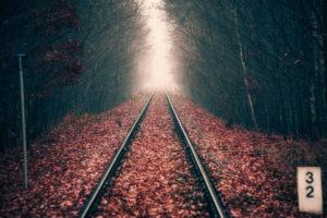 Autumn Forest Rail Track 5K Wallpapers