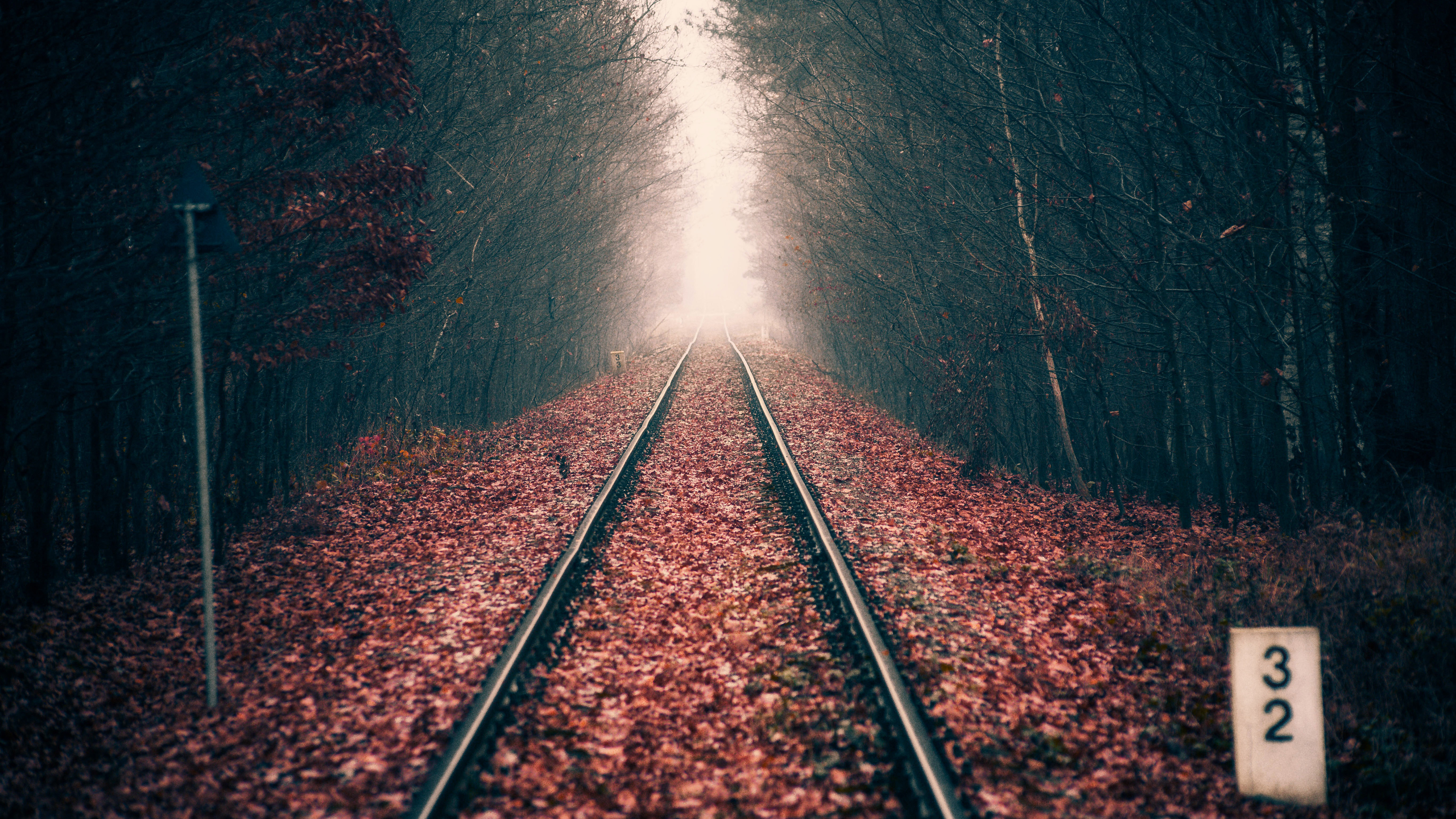 Autumn Forest Rail Track 5K Wallpapers