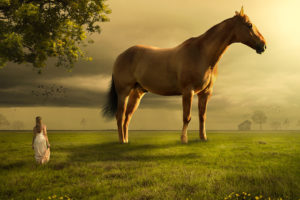 Girl Horse Landscape 4K Wallpapers