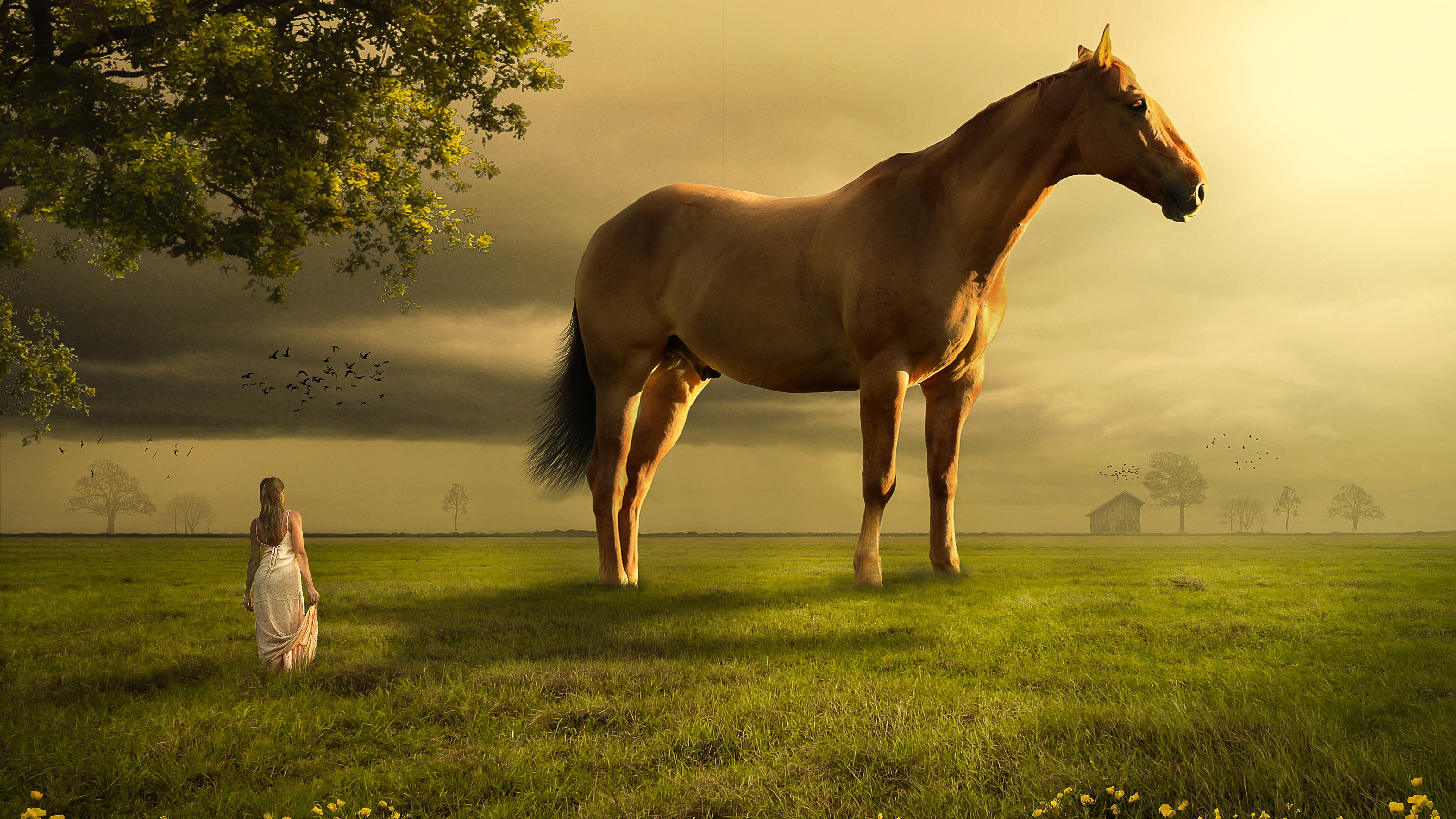 Girl Horse Landscape 4K
