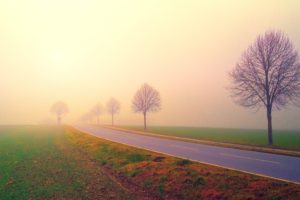 Morning Misty Landscape 4K 5K
