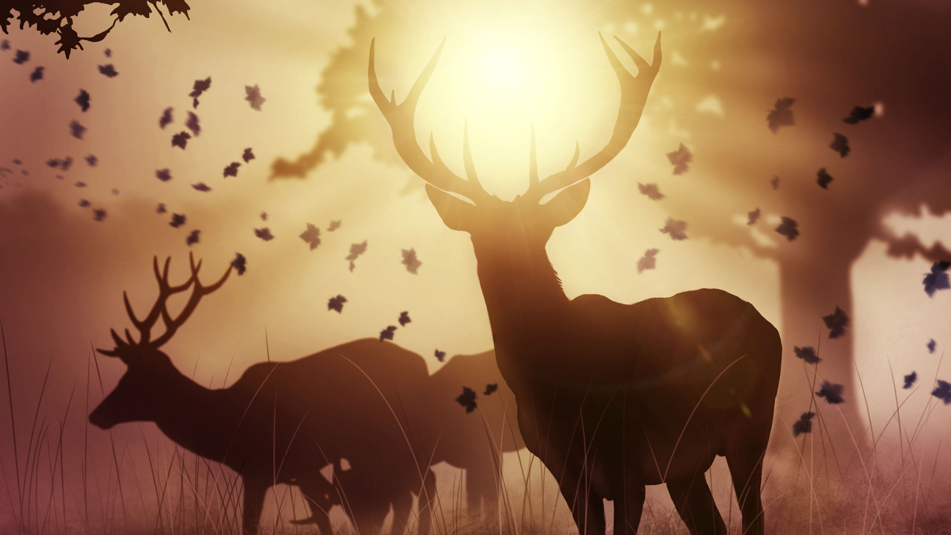 Sunset Deers Wallpapers