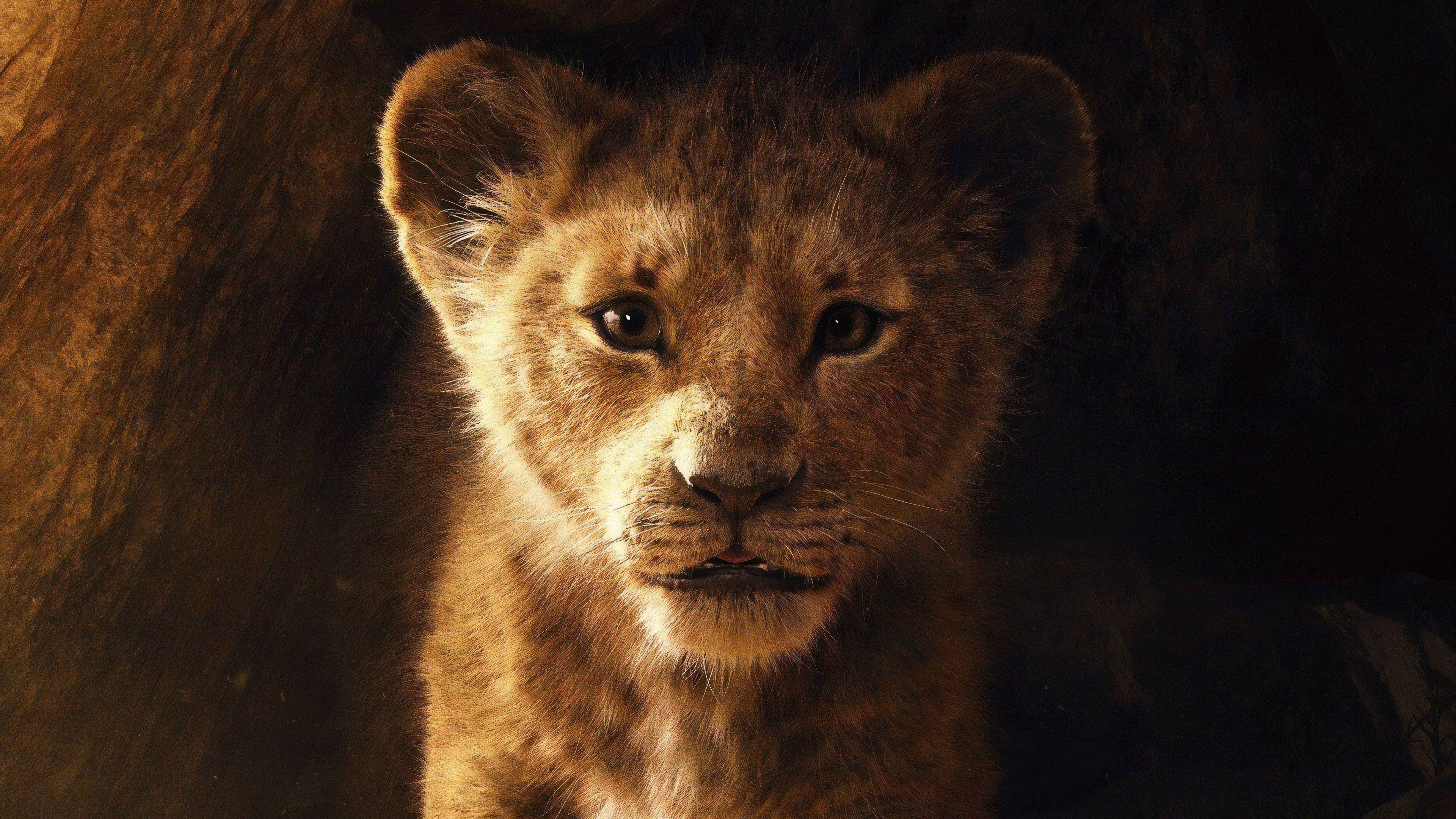 The Lion King 2019 5K