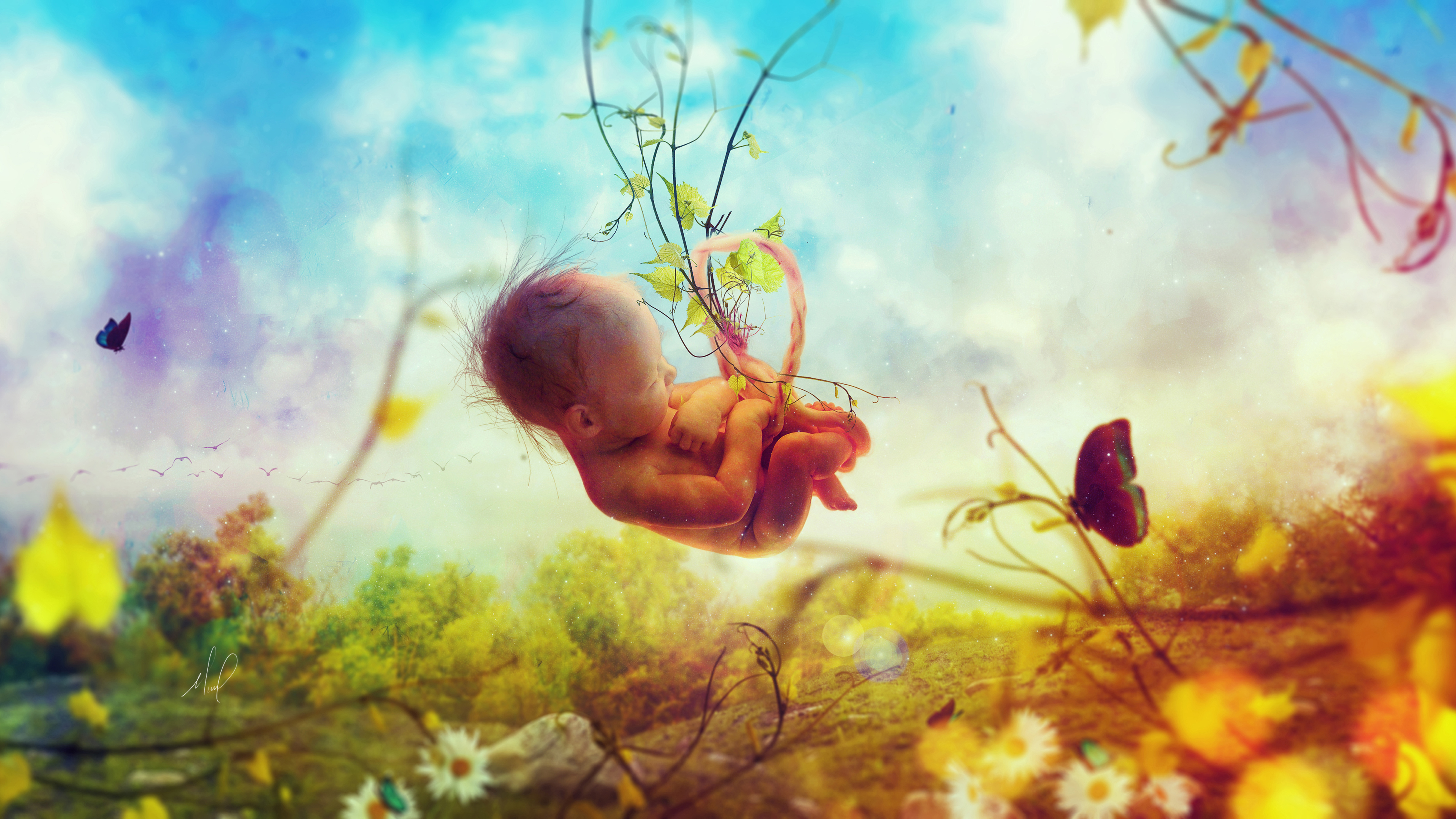 Creation Baby In Womb 4K 8K Wallpapers