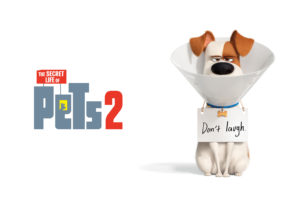 Max in The Secret Life of Pets 2 4K