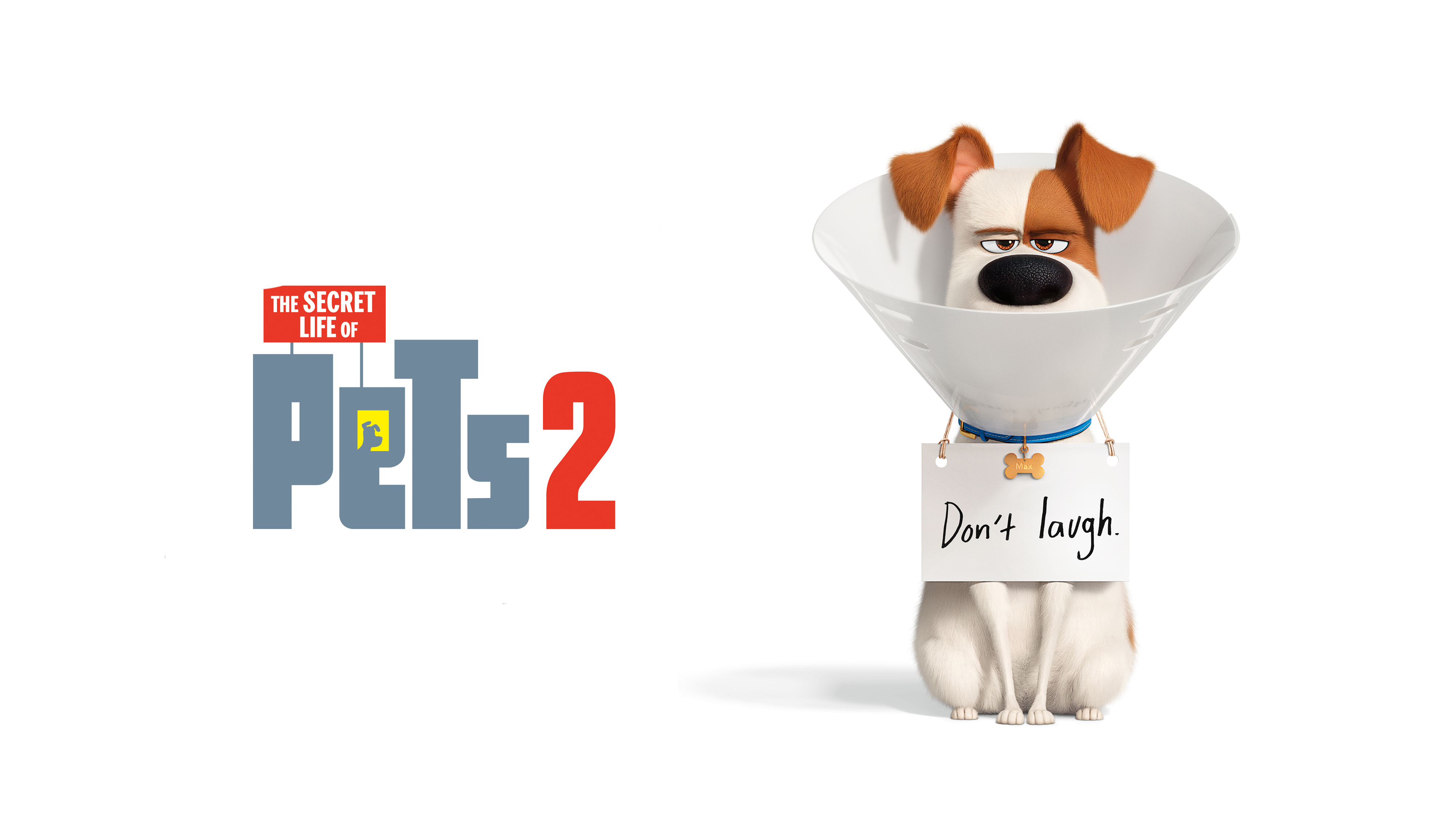 Max in The Secret Life of Pets 2 4K