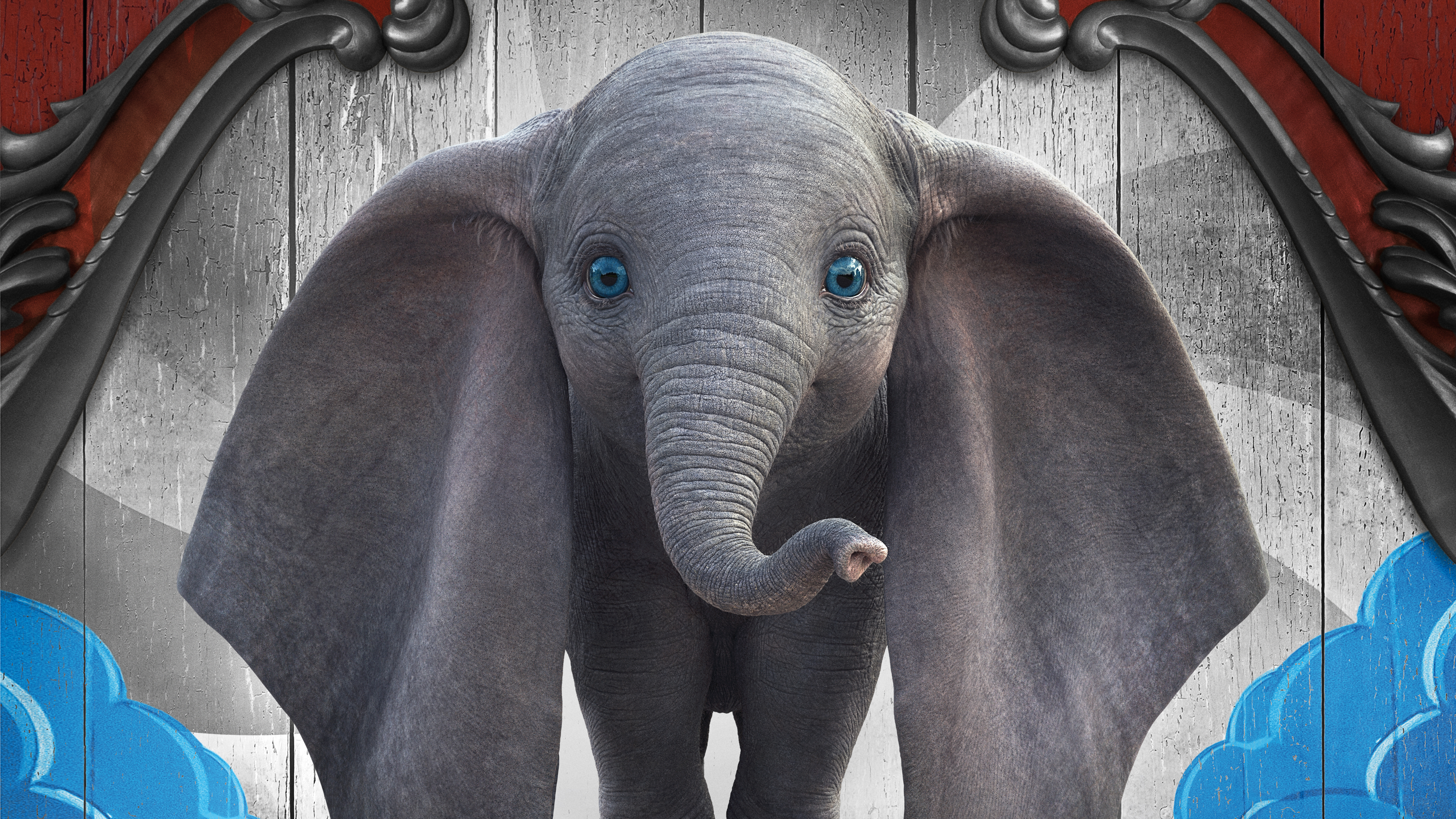 Dumbo Elephant 2019 4K 8K