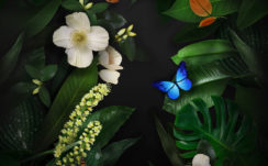 Flowers Butterflies Wallpapers