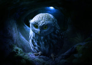 Little Owl, HD Artist, 4k