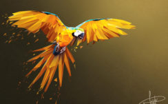 Macaw Lowpoly Art 4K Wallpapers