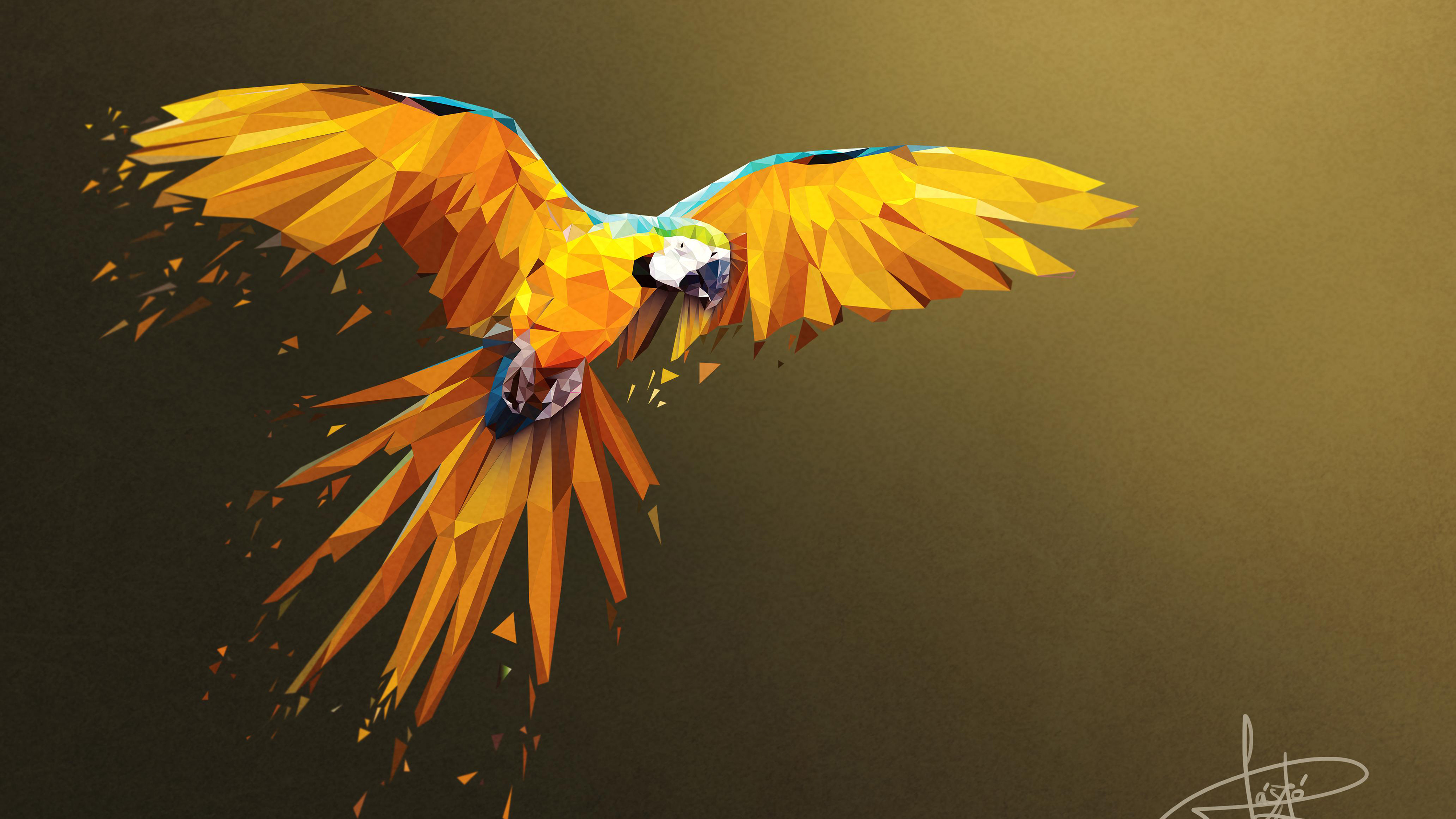Macaw Lowpoly Art 4K