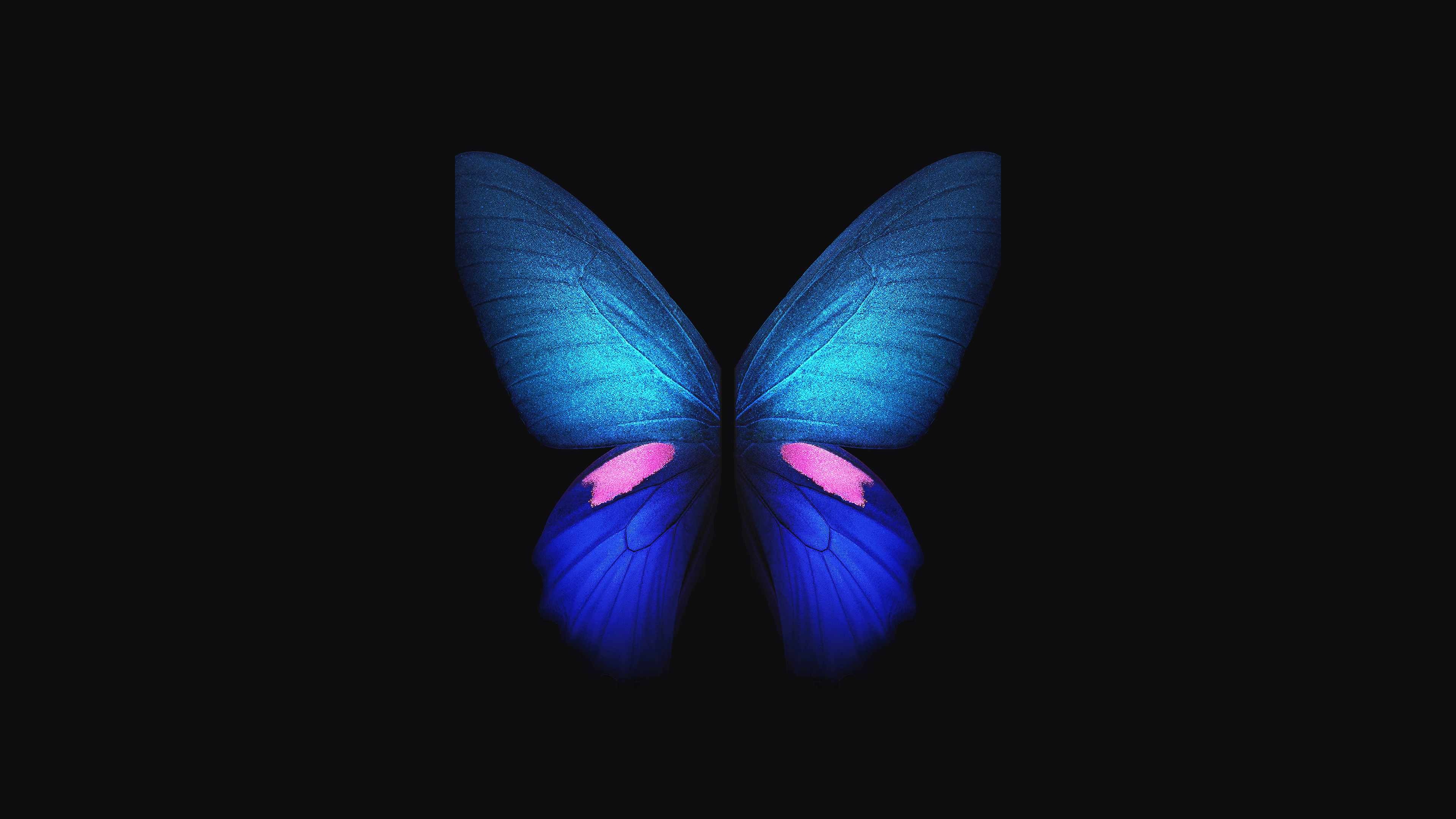Samsung Galaxy Fold Blue Butterfly 4K