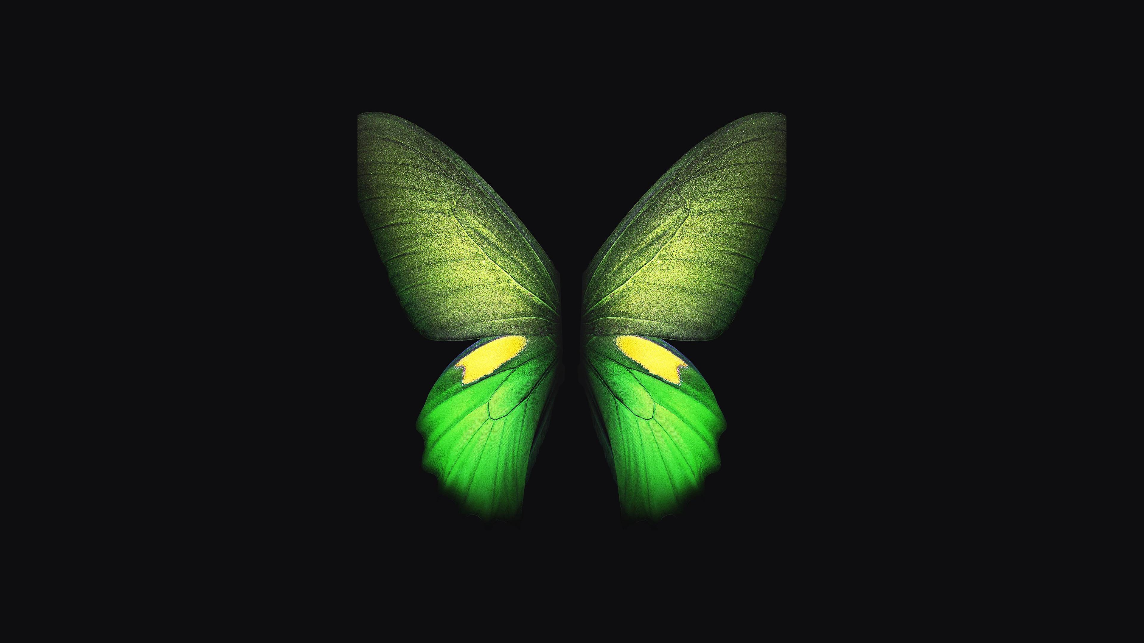 Samsung Galaxy Fold Green Butterfly 4K Wallpapers