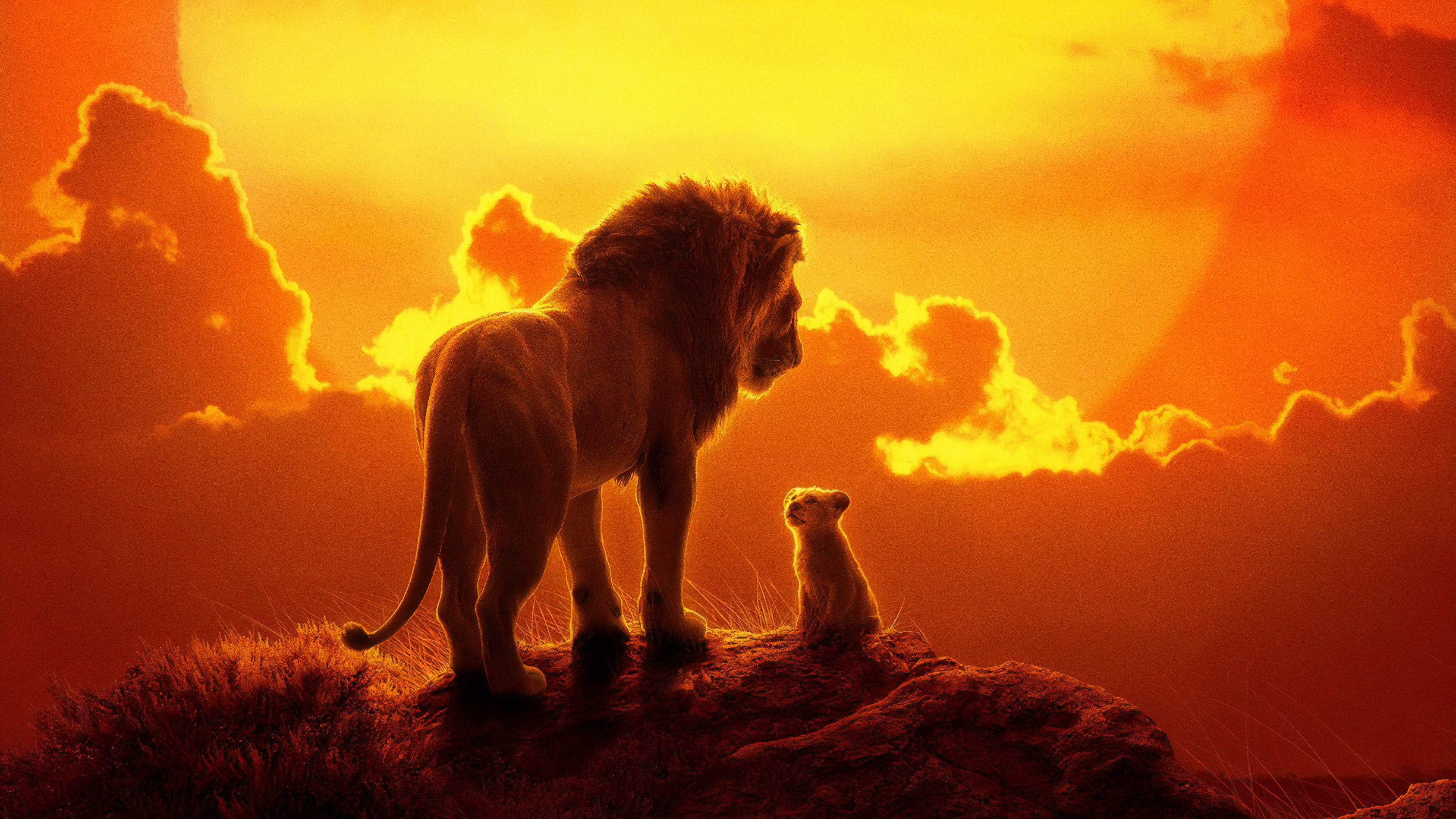 The Lion King 2019 Wallpapers