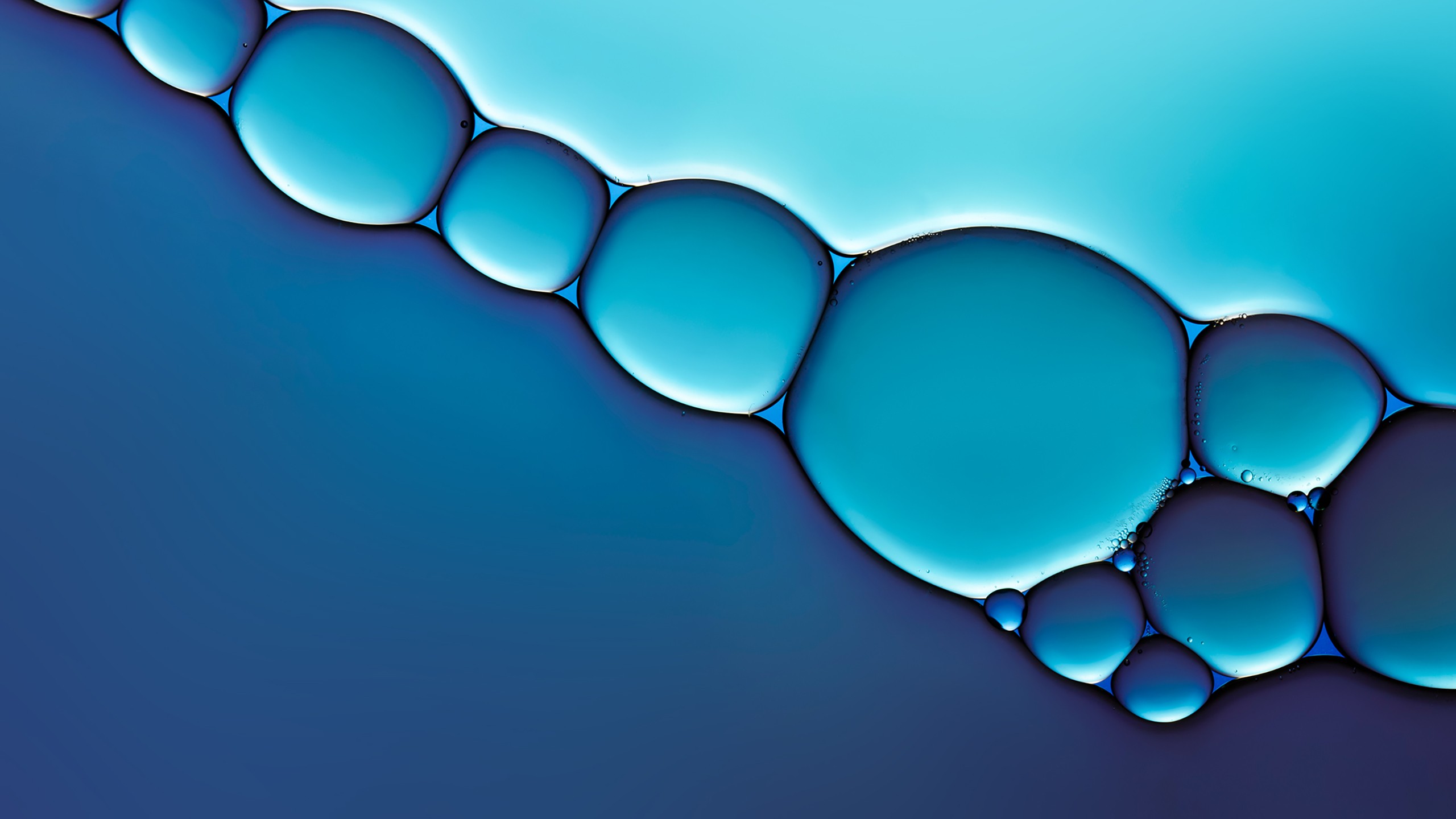 Blue Liquid Crystal Bubbles