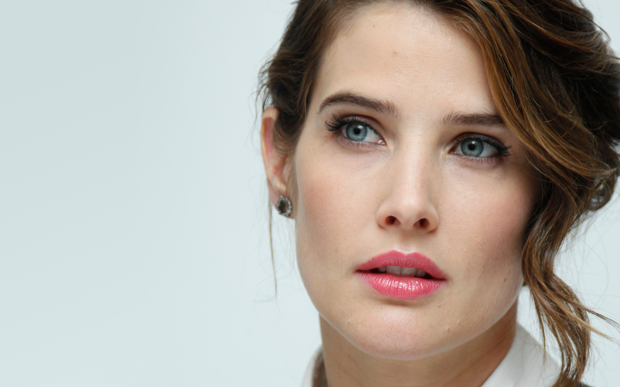 Cobie Smulders 2019 New Wallpapers