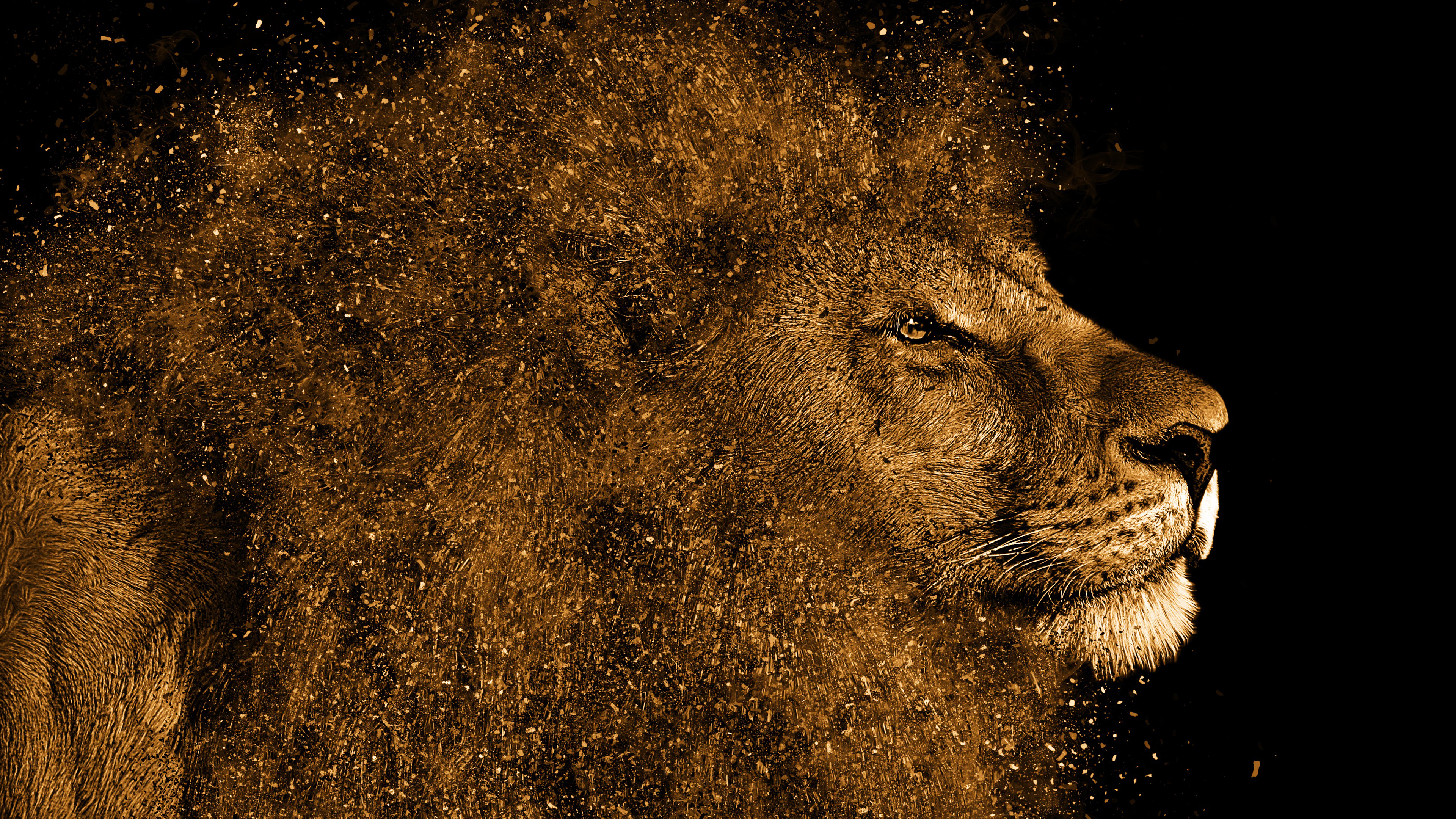 Lion Art 4K Wallpapers