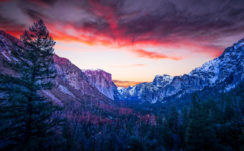 Yosemite Valley 4K 8K