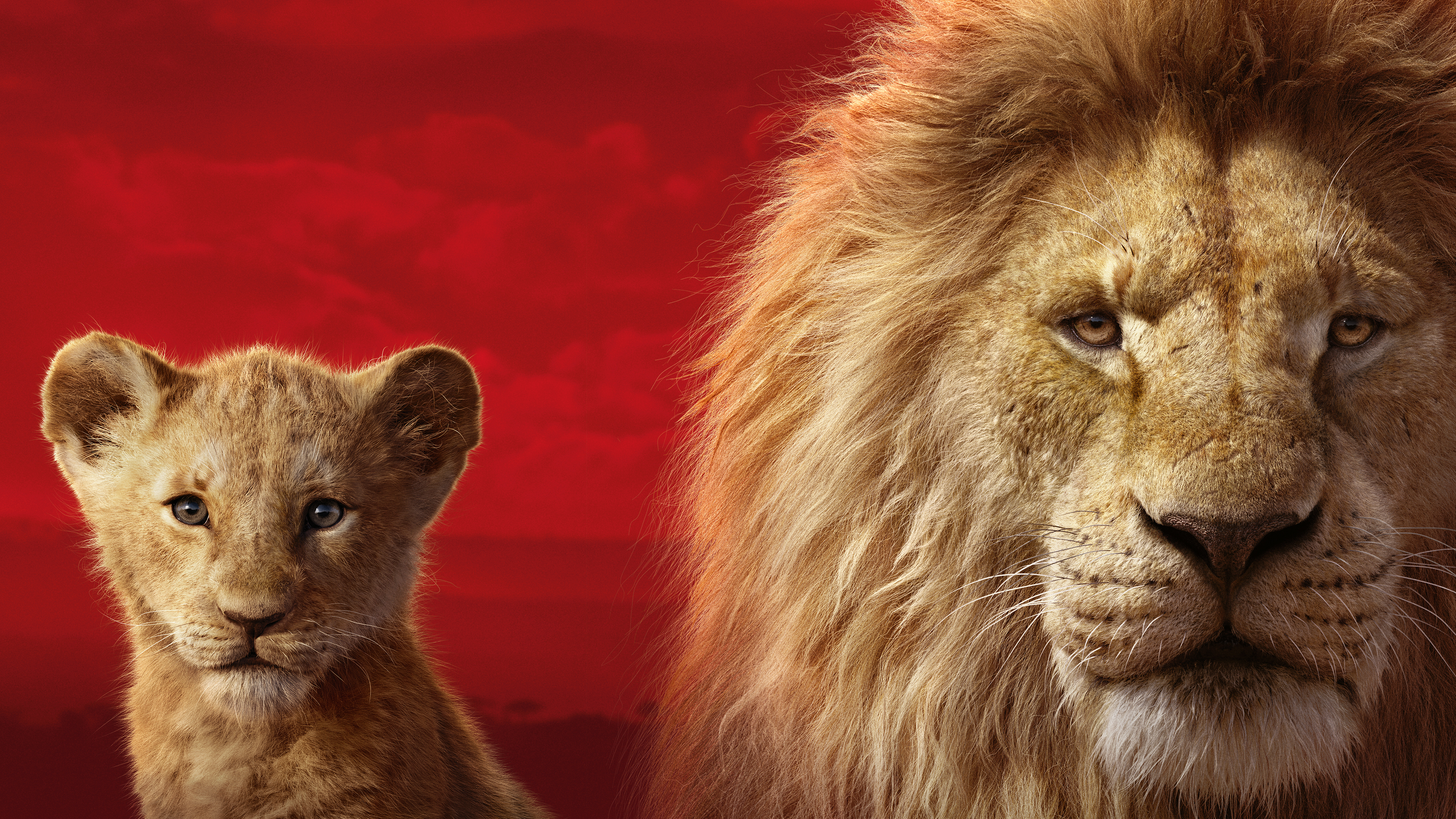 Simba Mufasa in The Lion King 5K