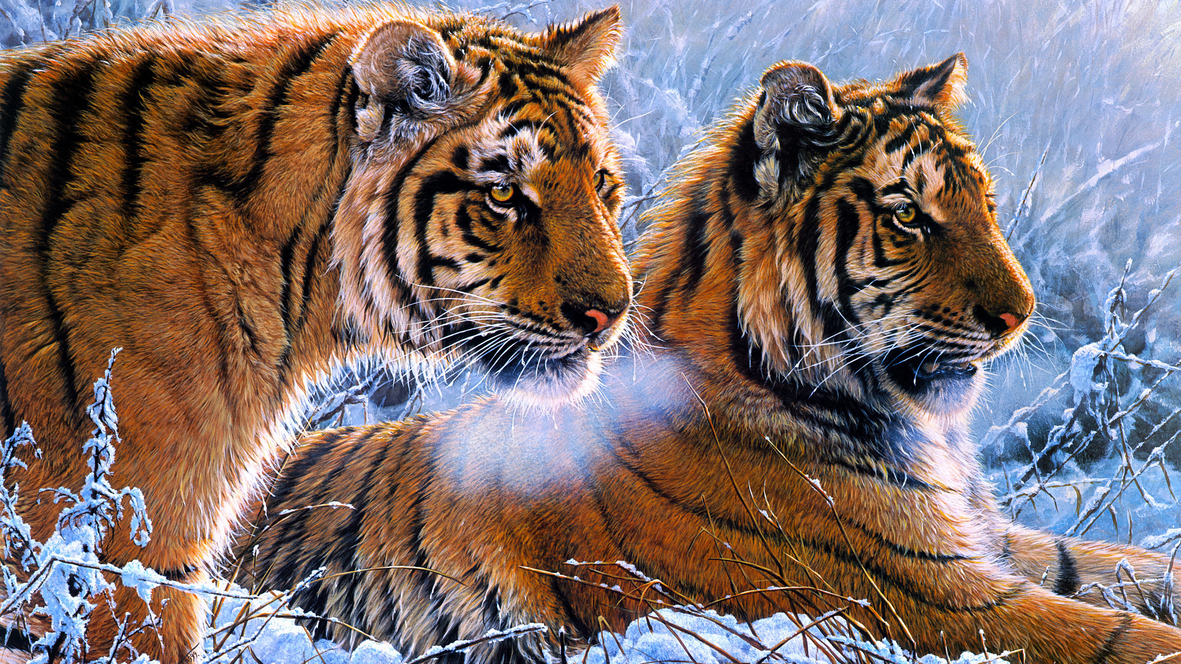 Tigers Oil paint 4K