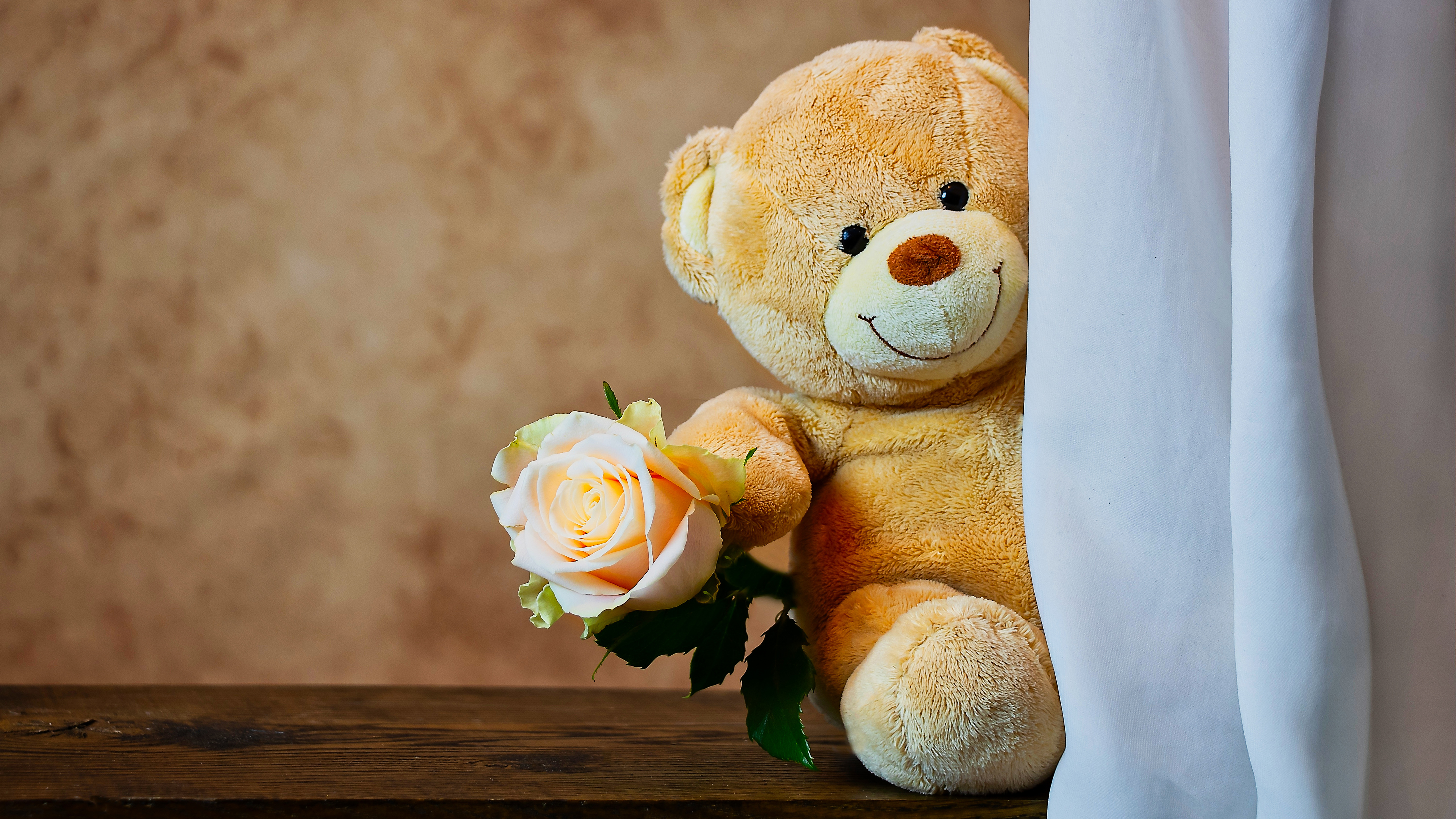 Cute Teddy Bear with Rose