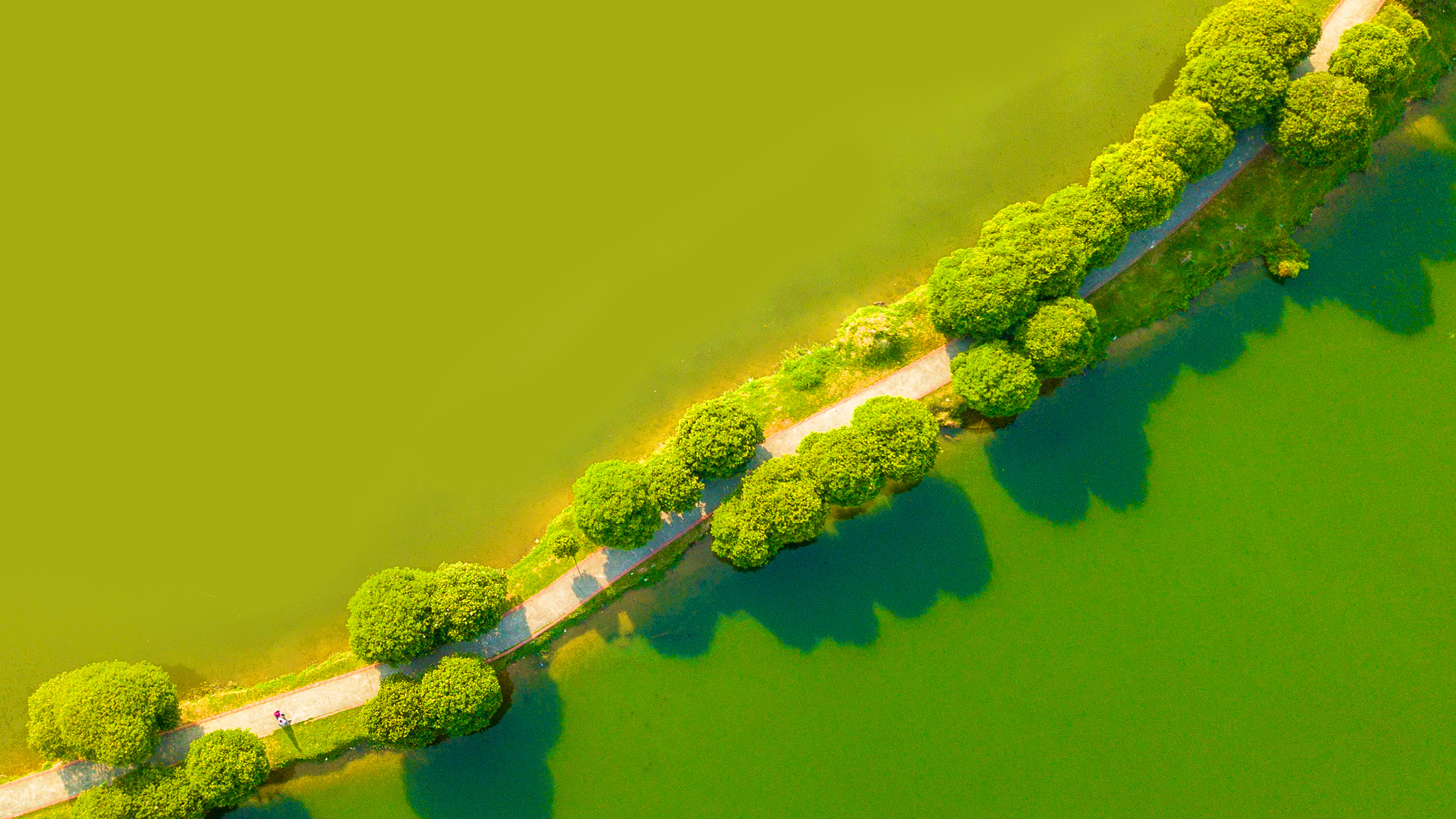 Green Landscape Aerial View